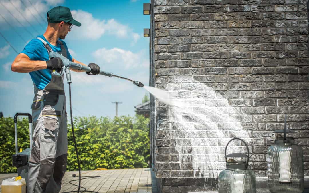 Professional pressure Washer Soft Washing