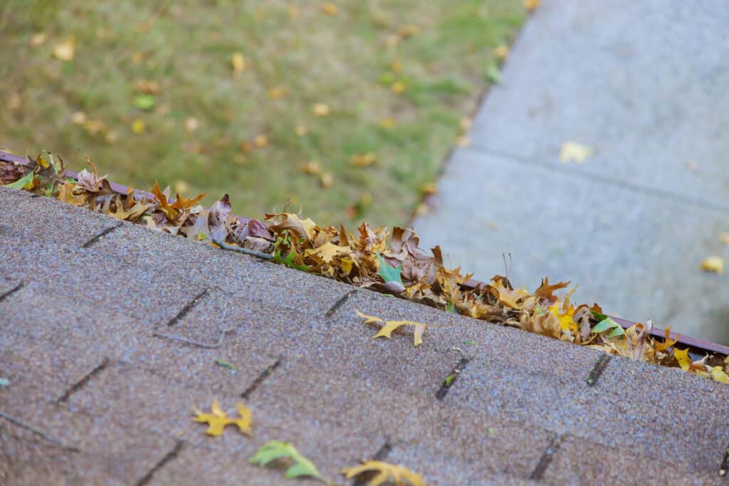 Cleaning Gutters